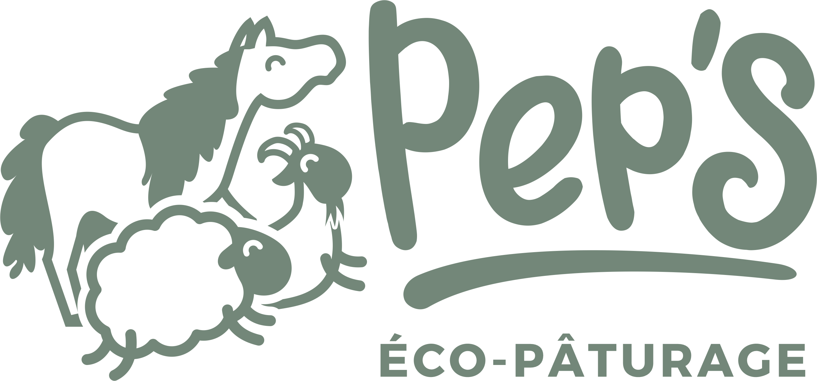 🐑 🌿 PEP'S : service d’éco-pâturage en Vendée.🐑🌿